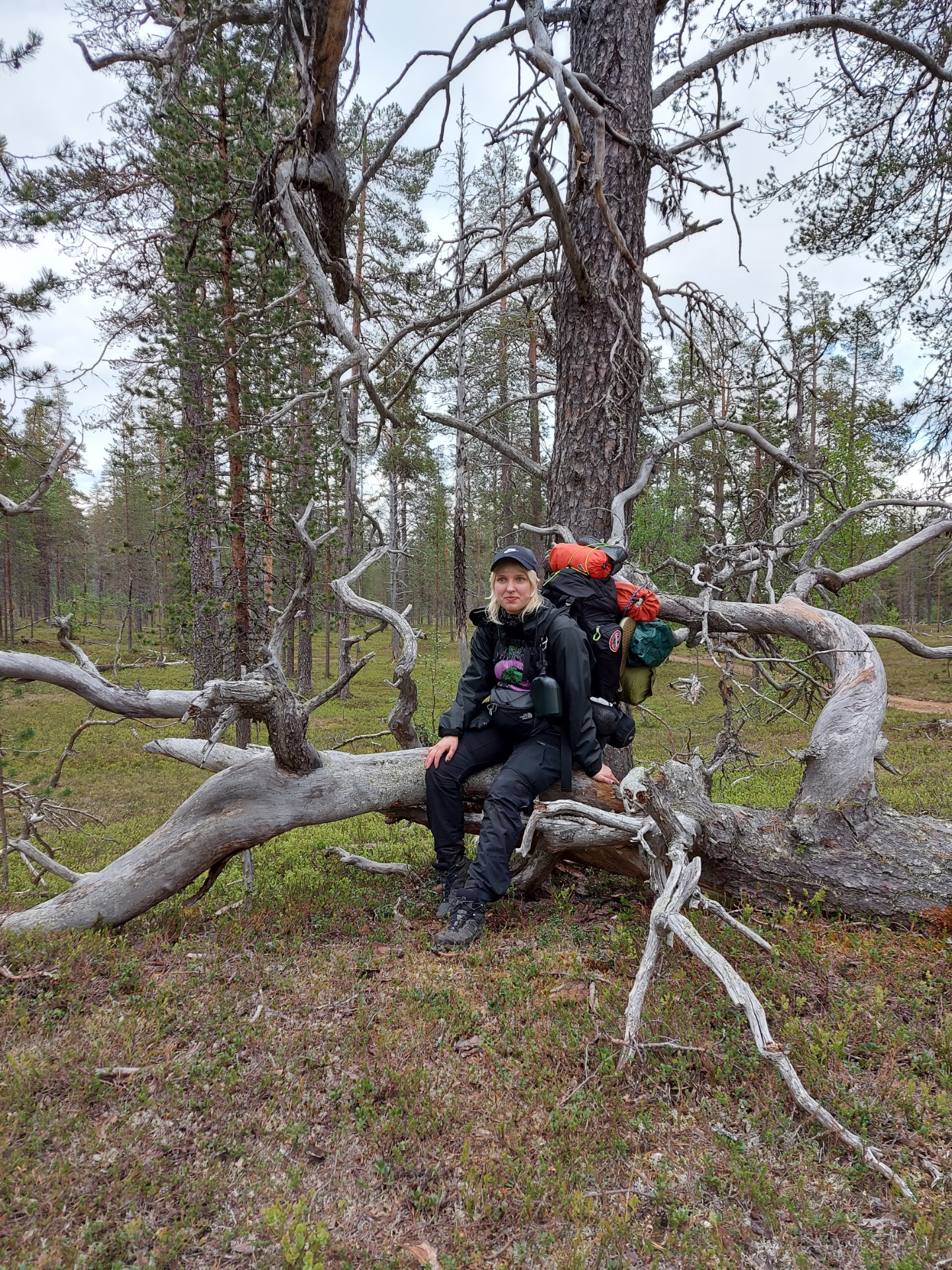 Vaeltamassa UKK:ssa 80km